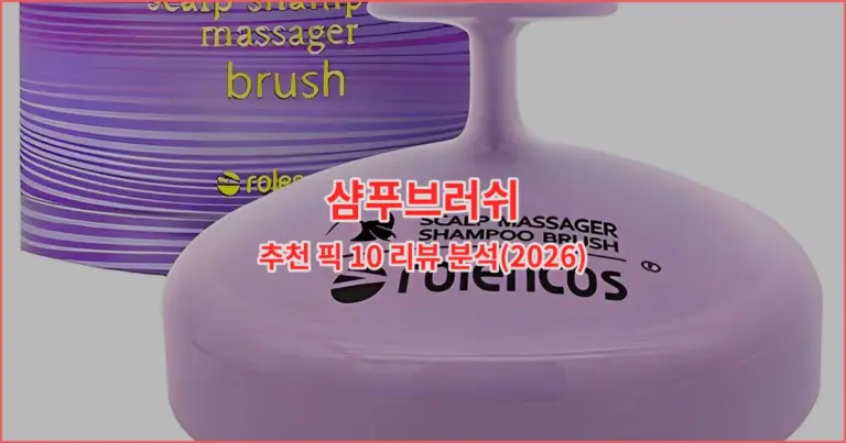샴푸브러쉬 추천 픽 10 리뷰 분석(2026)